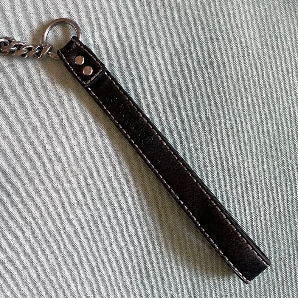 Alu-Max Nylon D-Ring Dog Collar 1.5” with Handle XL + Leash